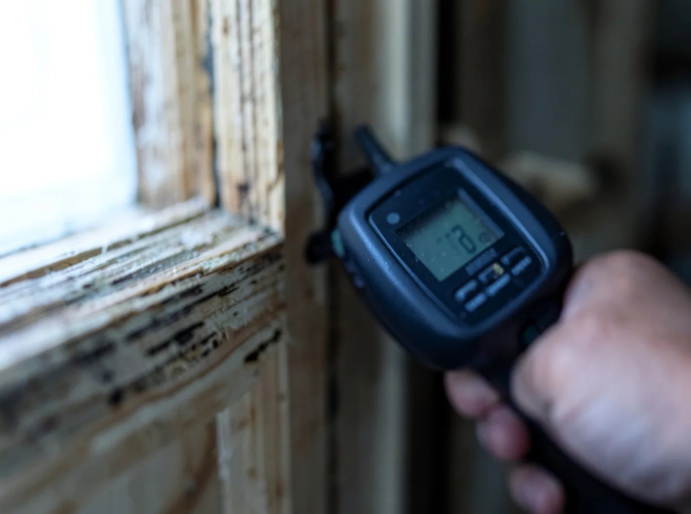 Moisture Inspection And Documentation in Afton, TX